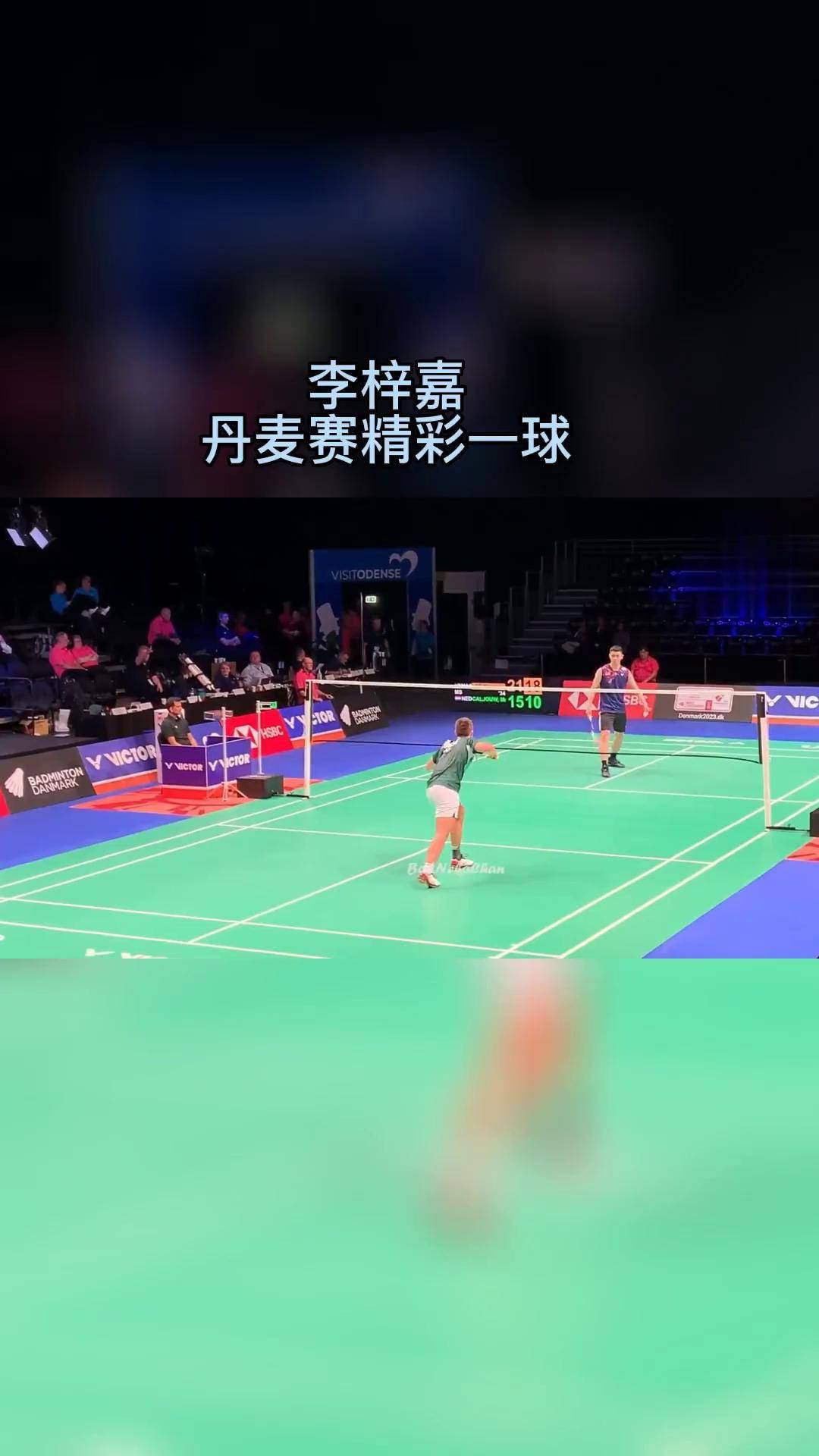 丹麦队完胜德国队，李梓嘉带队取胜