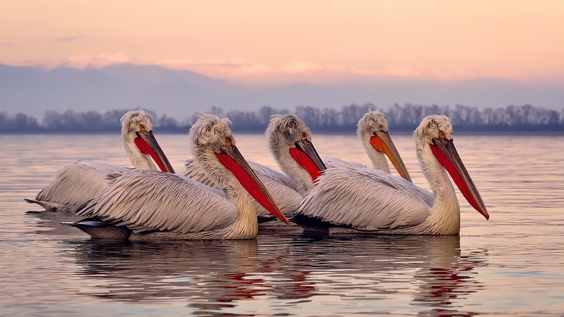 巴格达的黄昏，与C罗刻在罚球点上的碑