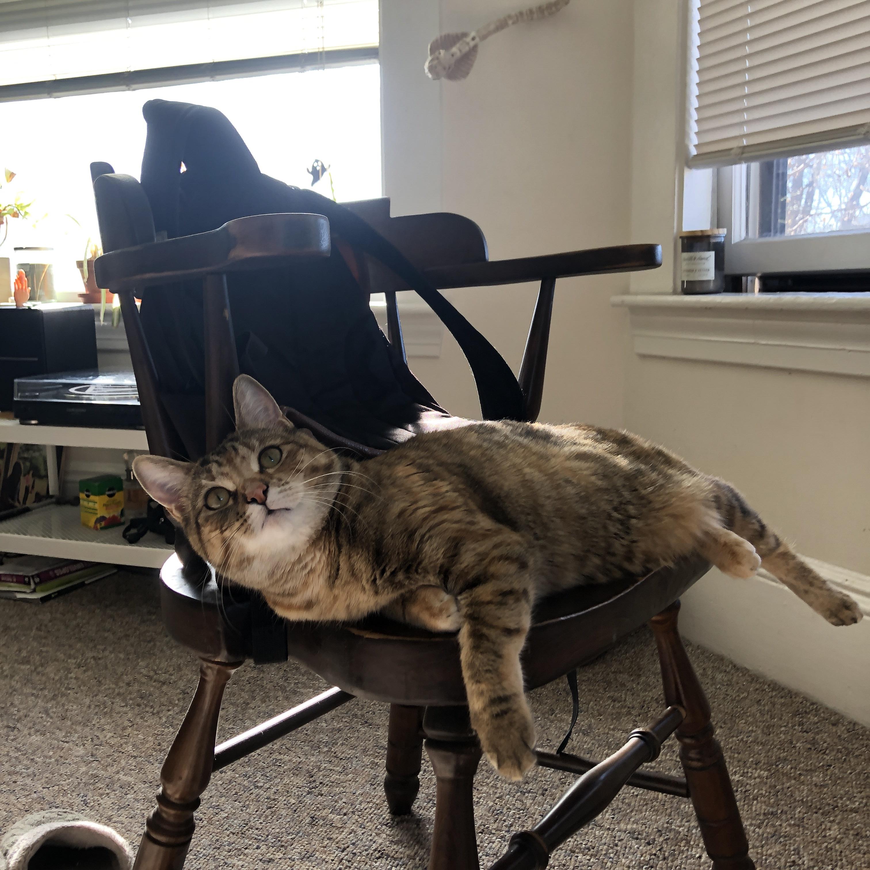 奥运周期关键战，伊萨克主宰赛场，尤文血拼安哥拉夺胜