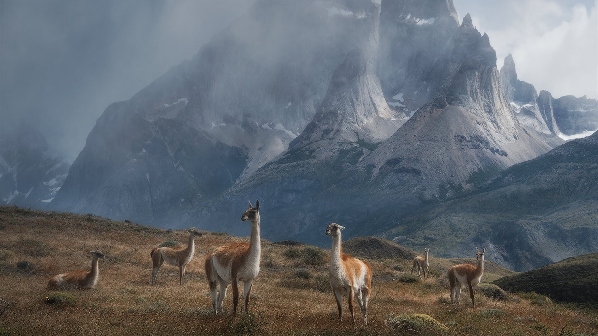 败者的勋章，贝恩47分闪光夜，森林狼用团队冰封个人火焰