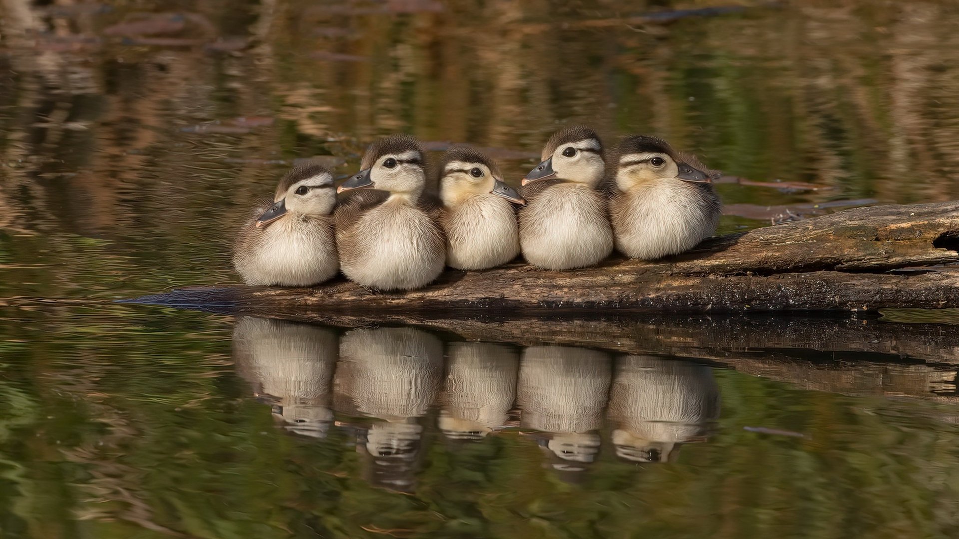 冰封巨塔与沸腾战场，在年度焦点之夜，小贾伦完成一次「打破定义」的宣言