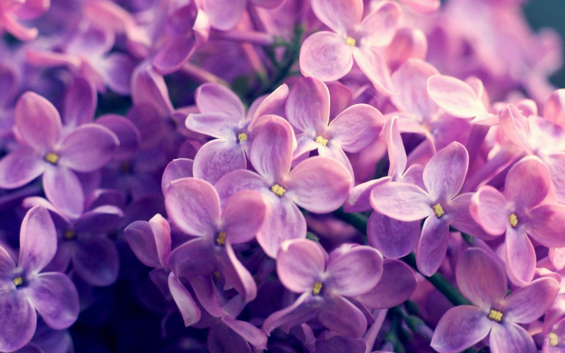 新王炸虎啸龙吟！爱德华兹48分打崩上海，浙江决胜局昂首挺进