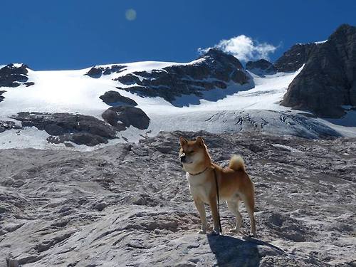 新核觉醒，罗德里戈的呼吸权之战与乌克兰奇迹的战术密码