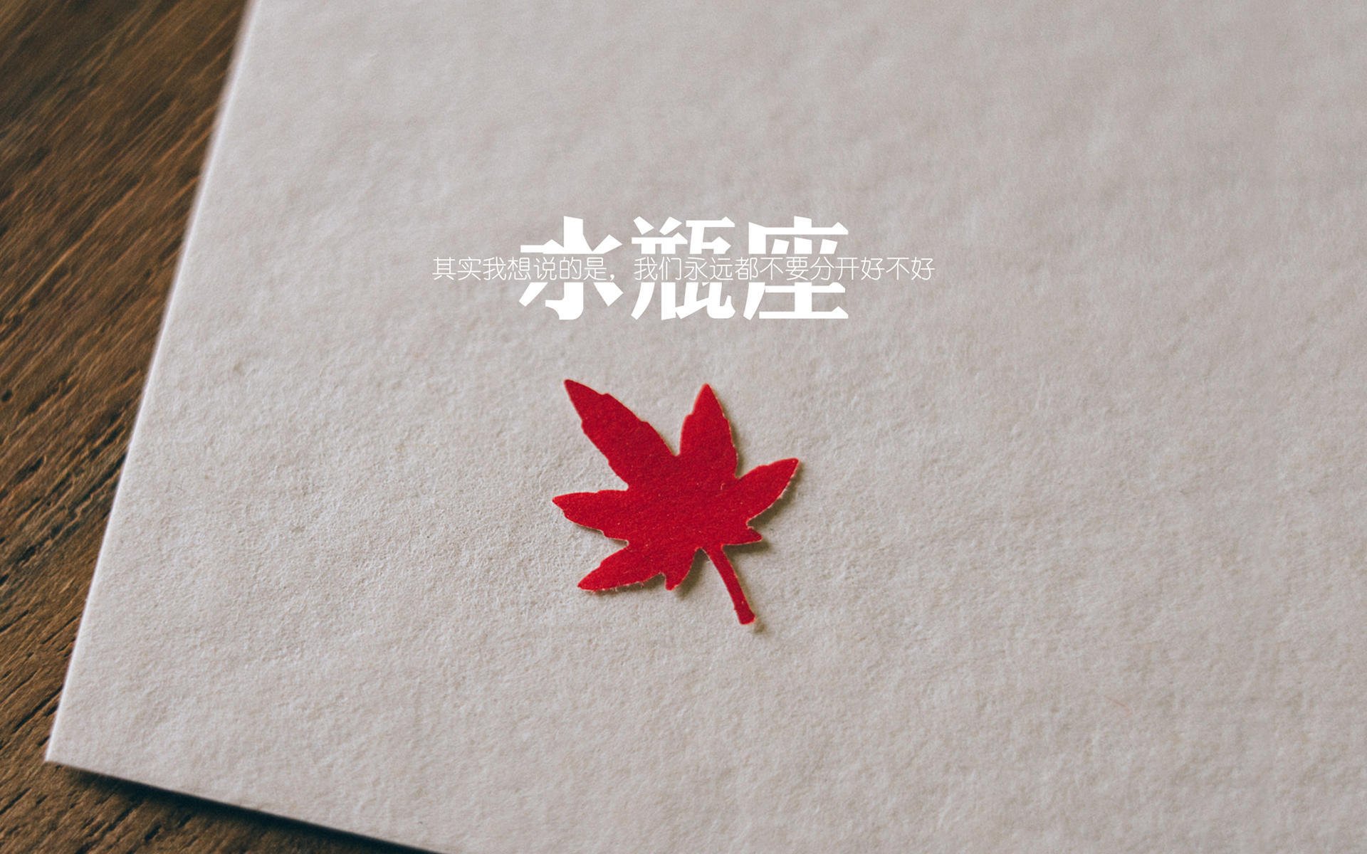 2026世界杯E组唯一奇观，保加利亚掀翻波兰的夜晚，罗德里戈用个人才华定义少数派胜利